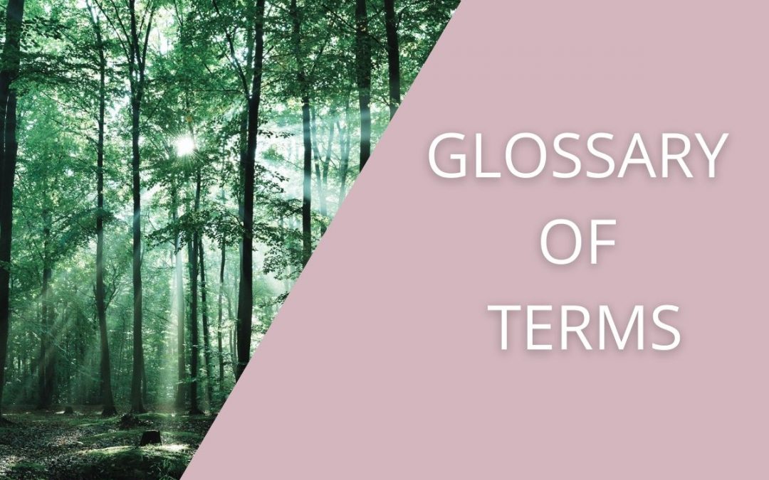 Glossary of Terms – Cutting Through the Jargon