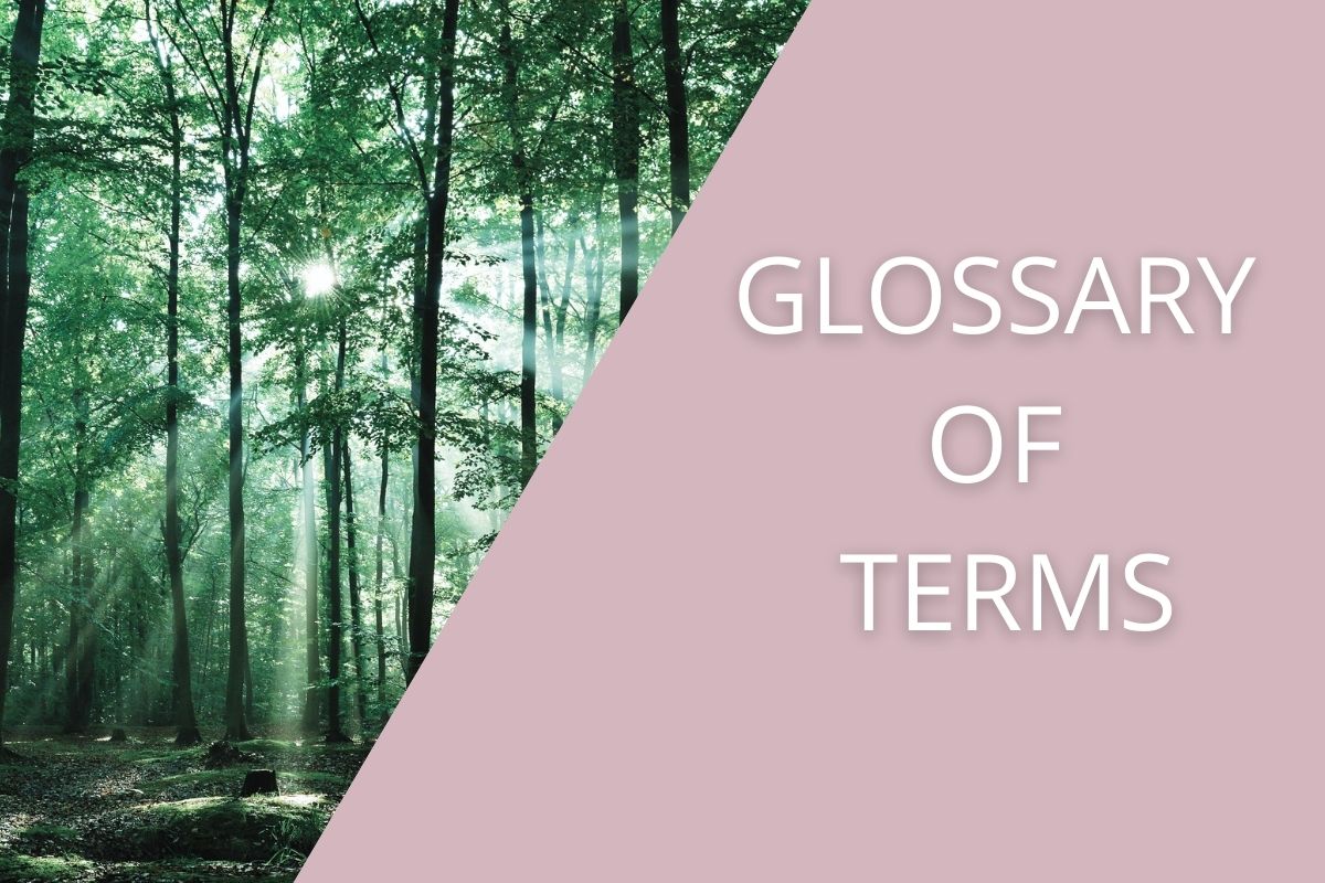 Glossary of Terms – Cutting Through the Jargon